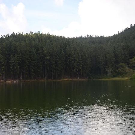 Spiritual Nature Farm - Sri Lanka มาตาเล ภายนอก รูปภาพ