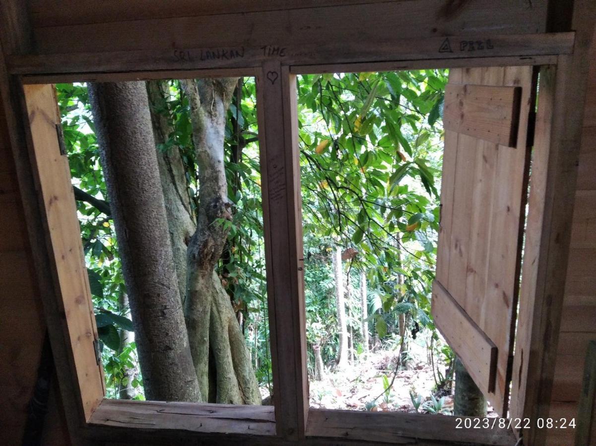 Spiritual Nature Farm - Sri Lanka มาตาเล ภายนอก รูปภาพ