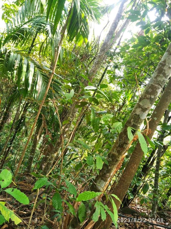 Spiritual Nature Farm - Sri Lanka มาตาเล ภายนอก รูปภาพ
