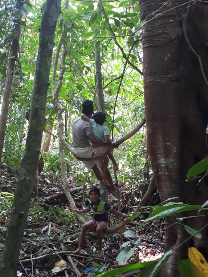 Spiritual Nature Farm - Sri Lanka มาตาเล ภายนอก รูปภาพ