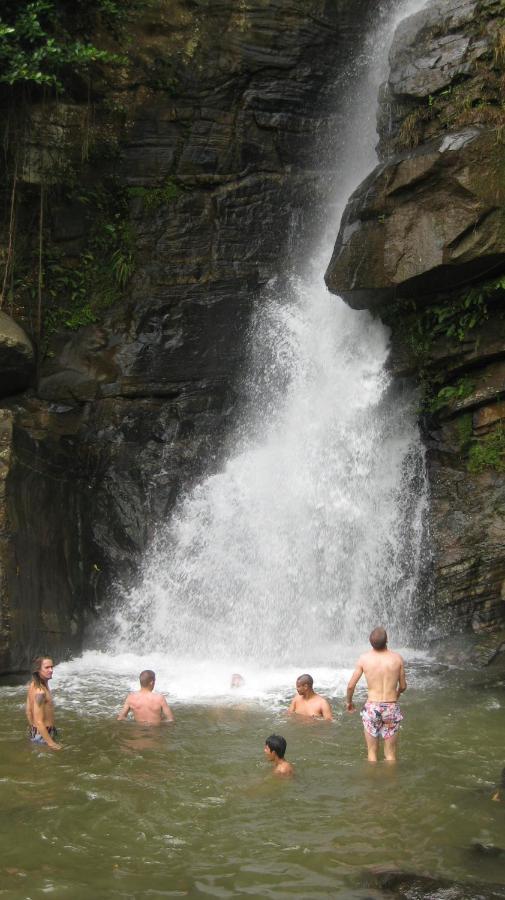 Spiritual Nature Farm - Sri Lanka มาตาเล ภายนอก รูปภาพ