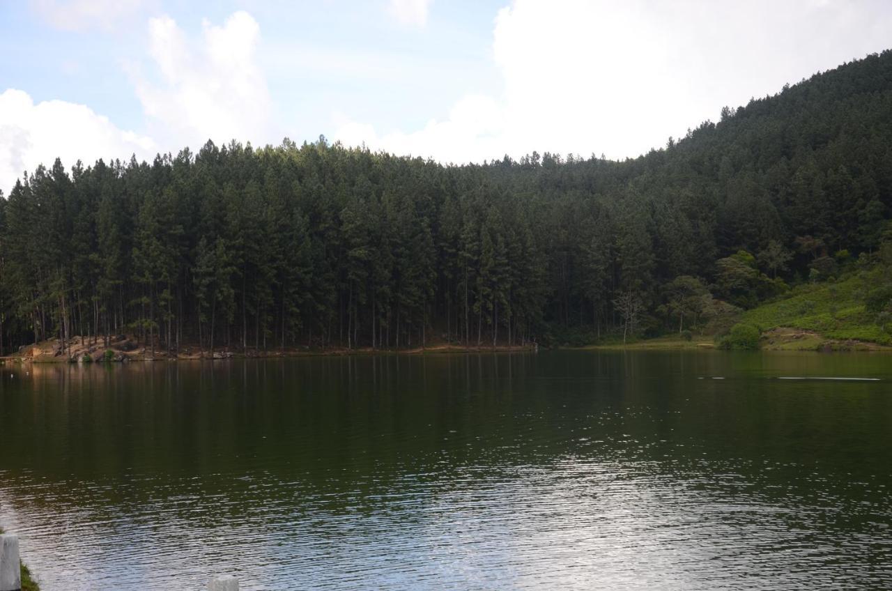 Spiritual Nature Farm - Sri Lanka มาตาเล ภายนอก รูปภาพ