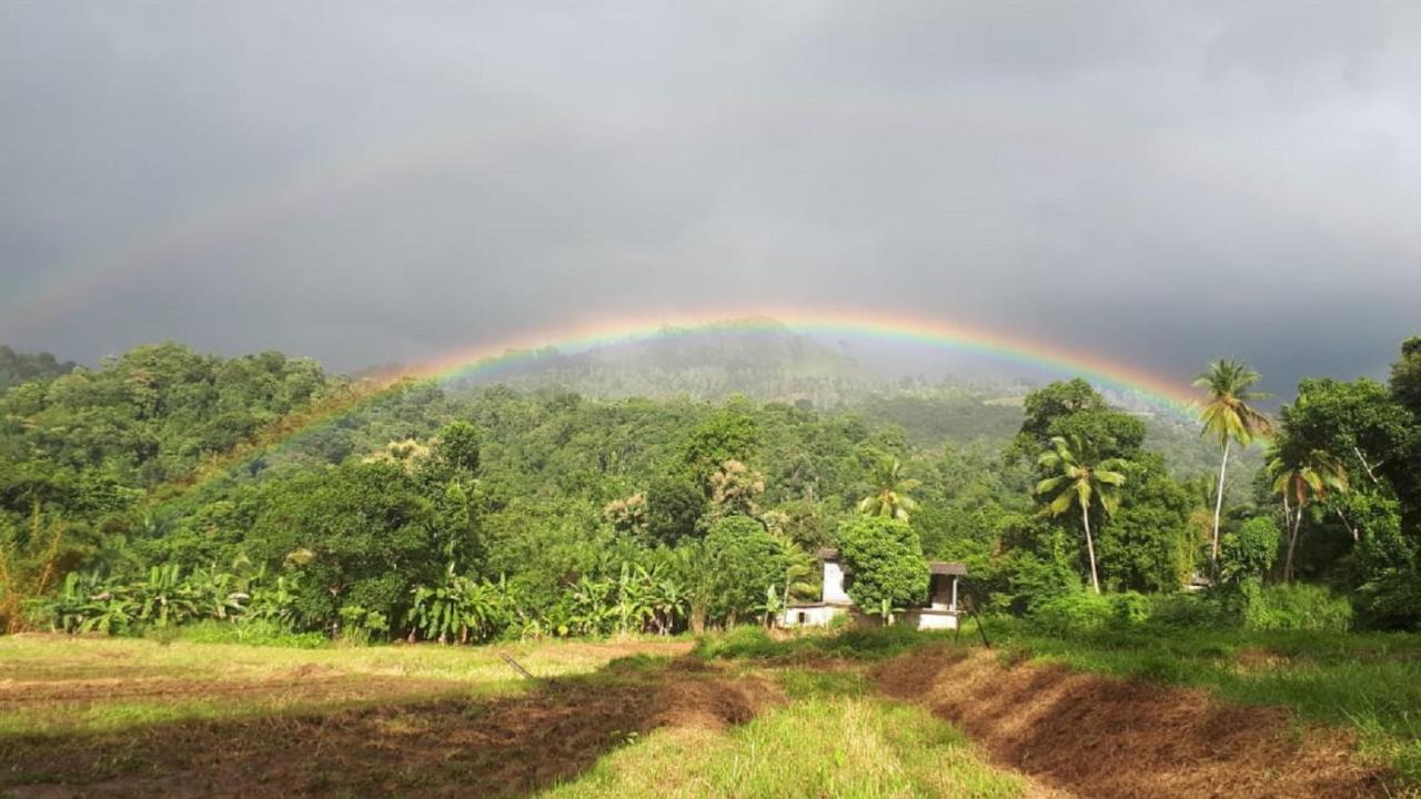 Spiritual Nature Farm - Sri Lanka มาตาเล ภายนอก รูปภาพ